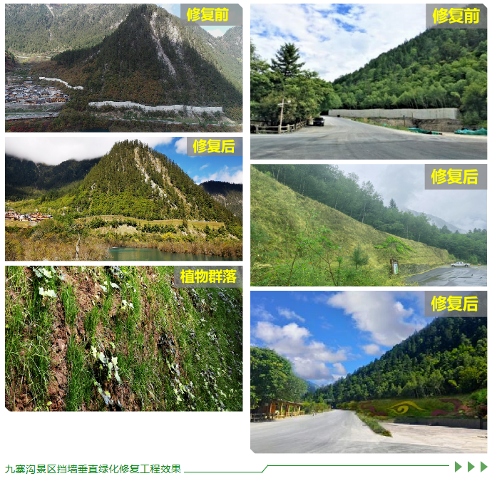 微信图片_20231128104206.png